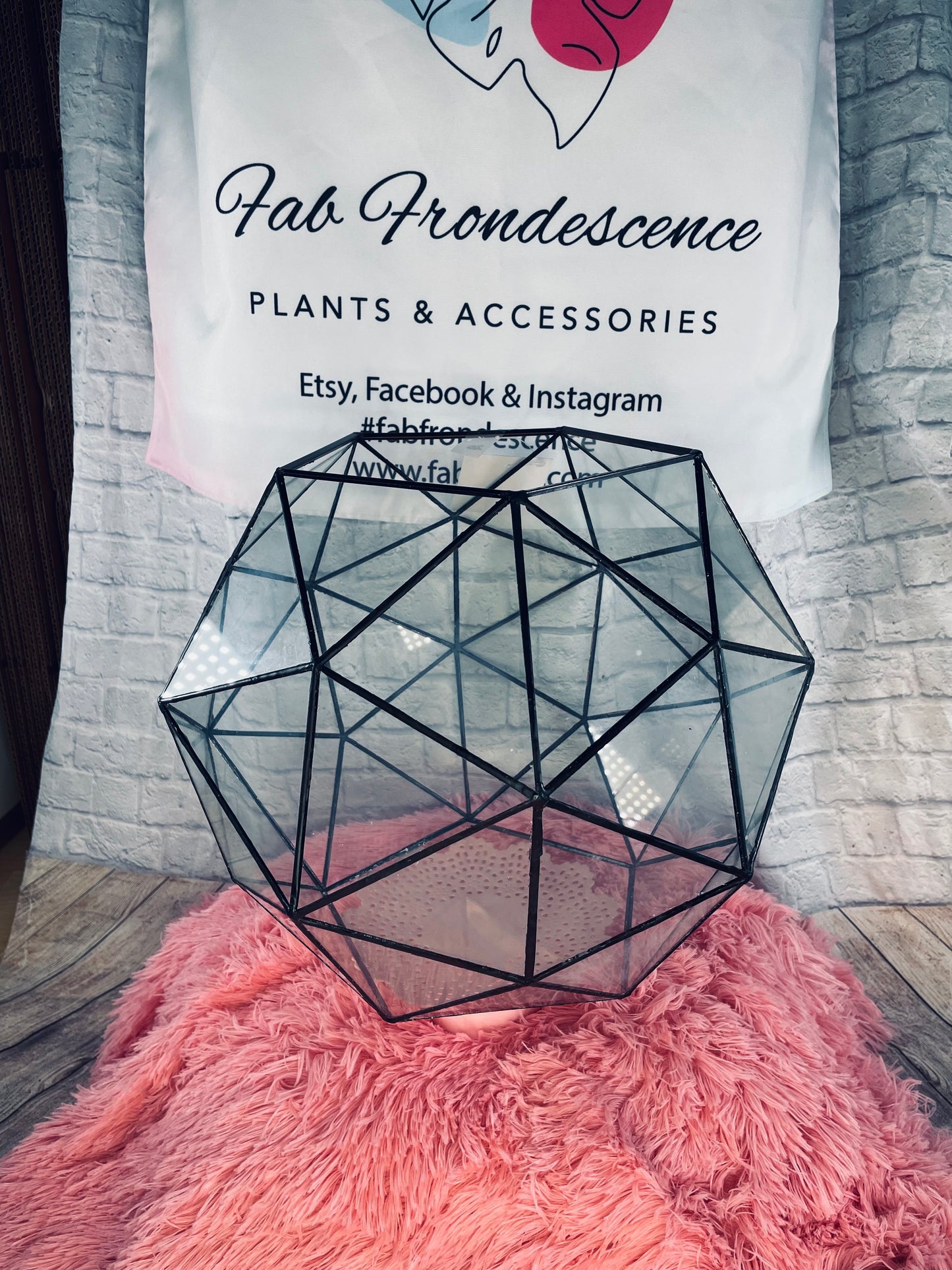 Glass Terrarium 13” x 13” - FabFrondescence