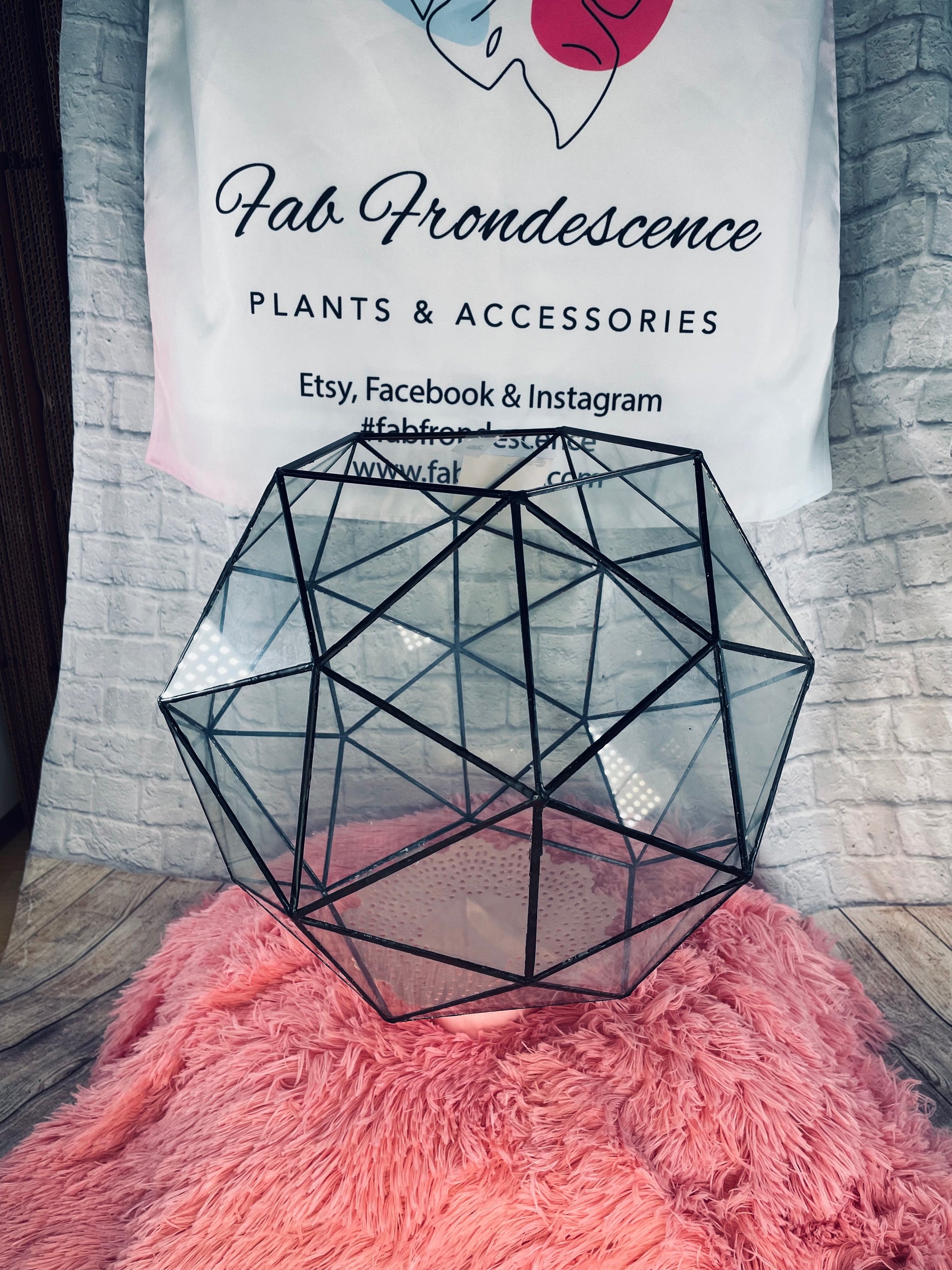 Glass Terrarium 13” x 13” - FabFrondescence