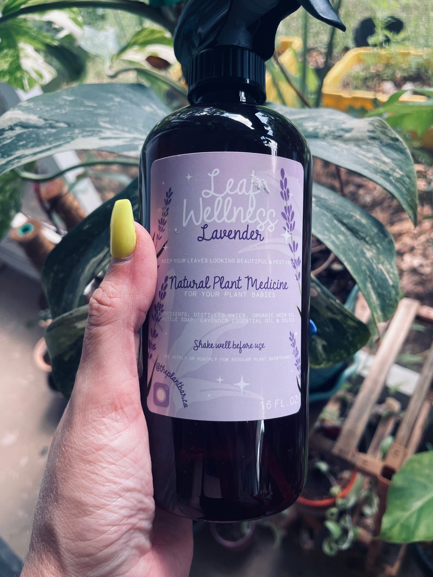 Lavender Leaf Wellness 16oz - FabFrondescence